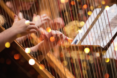 Musicien jouant de la harpe - Agrandir l'image, fenêtre modale